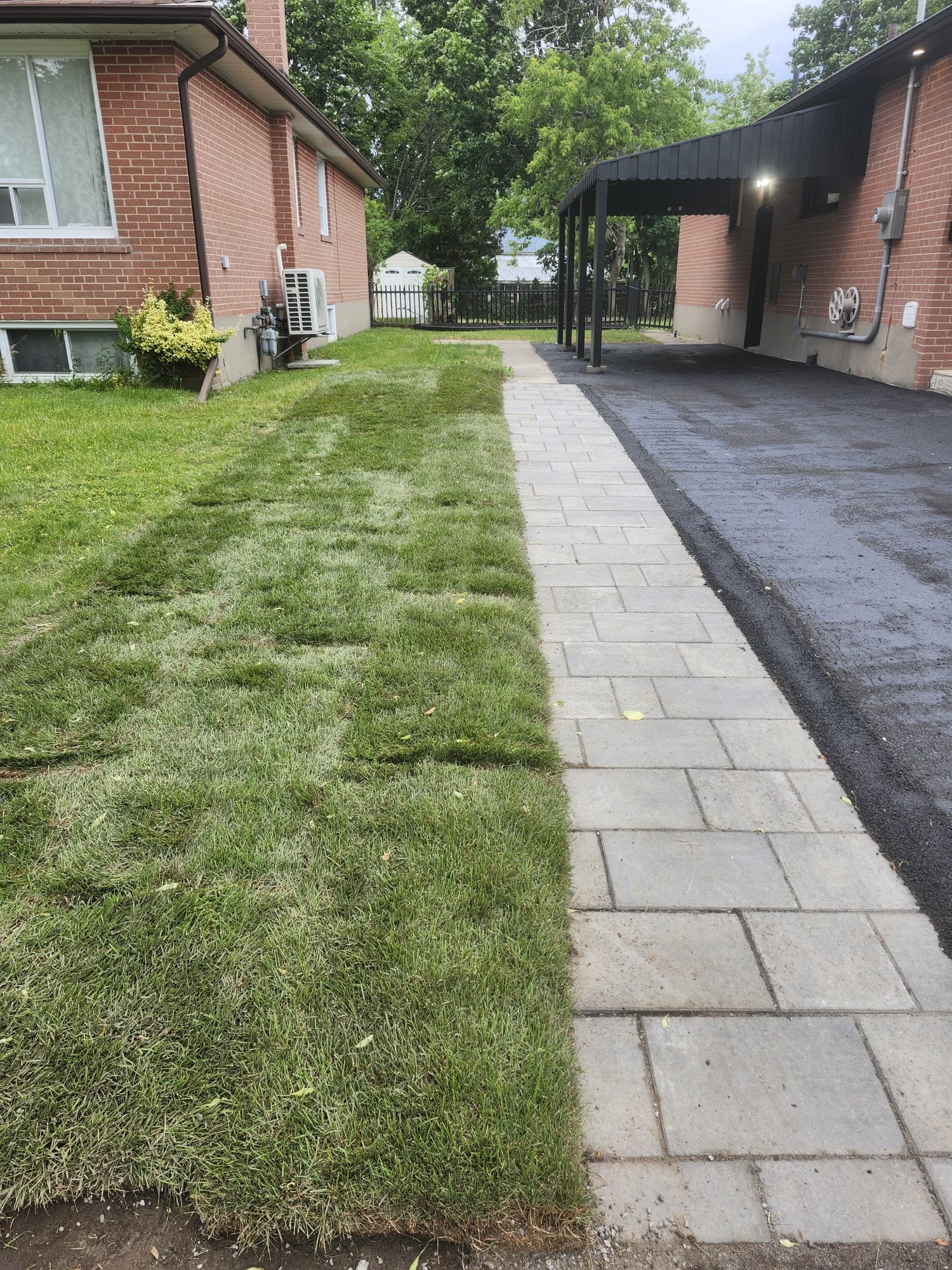 Paver walkway and sod lawn